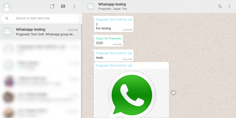 Whatsapp Business Shopping
